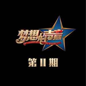 谷歌老司机版(海外版)
