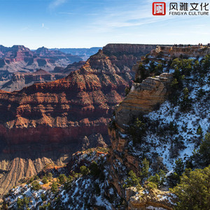 谷歌老司机版(海外版)
