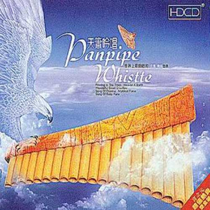 谷歌老司机版(海外版)
